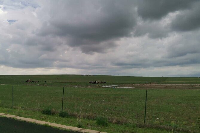 Private Full-Day Tour to Huitengxile Grassland from Hohhot - Who Will Love This Tour?