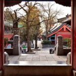 Private Full-Day Tour to Shaolin Temple and Mt.Song from Zhengzhou - What Makes This Tour Stand Out?