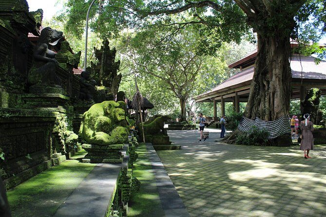 Private Full Day Tour to Ubud Highlights with Giant Swing - Practical Details: What You Can Expect