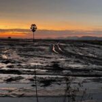 Private Full Day Tuk Tuk Tour in Battambang - Authentic Insights from Reviewers