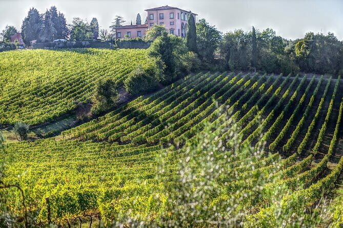 PRIVATE Full-Day Wine Experience in Chianti Classico. - Visiting Greve in Chianti: The Heart of the Region