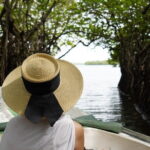 Private Galle Day Tour with River Safari, Stilt fishing & Turtles - A Deep Dive into the Itinerary and What You Can Expect