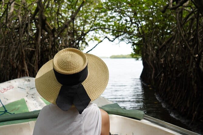 Private Galle Day Tour with River Safari, Stilt fishing & Turtles - A Deep Dive into the Itinerary and What You Can Expect