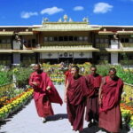 Private Guided Dharamshala Tour with Scenic Views & Lunch - What Reviewers Say
