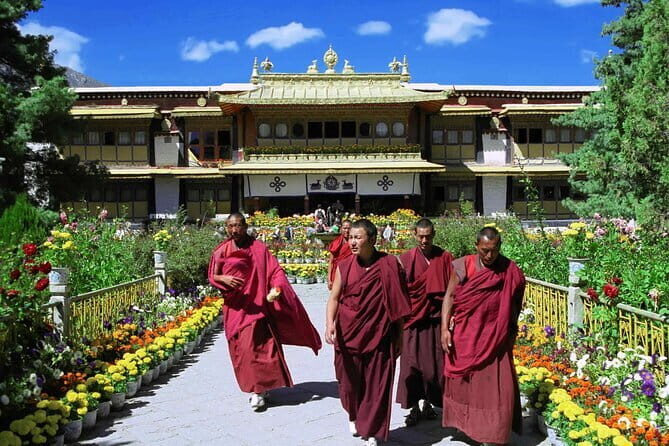 Private Guided Dharamshala Tour with Scenic Views & Lunch - What Reviewers Say