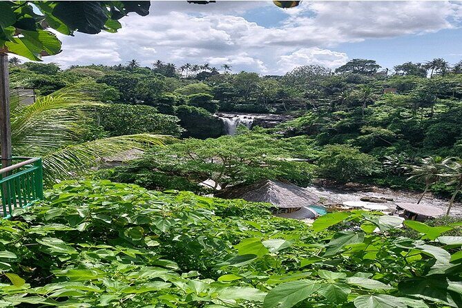 Private Guided Full Day Ubud Tour - The Practicalities of the Tour