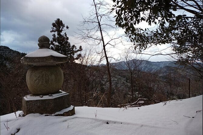 Private Guided Half-Day Walking Tour in Yoshinoyama - Transportation and Practicalities