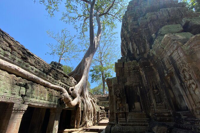 Private Guided Multi-Day Historical Tour in Temples of Cambodia - The Price and Value Perspective