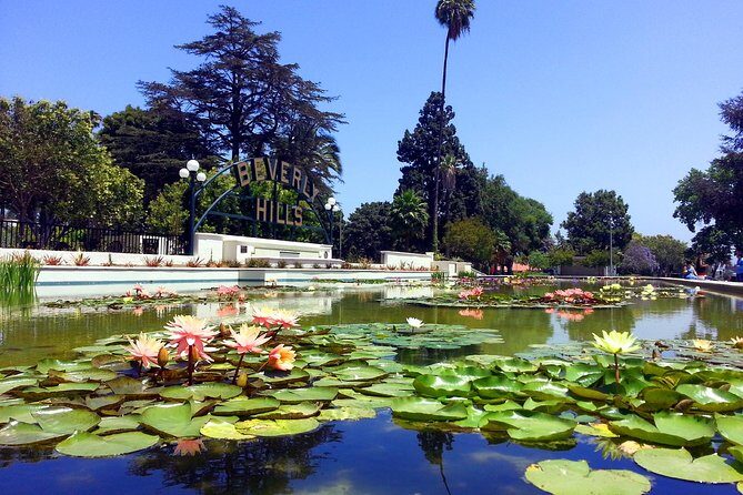 Private, Guided Sightseeing Tour of Los Angeles - The Value of This Tour