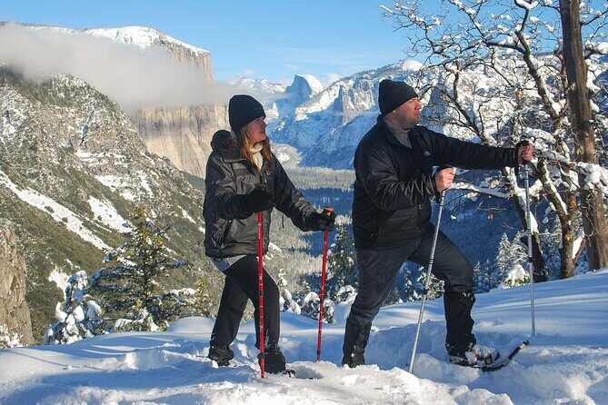 Private Guided Snowshoe Hike in Yosemite - Final Thoughts: Is This Tour Right for You?
