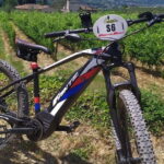 Private Guided Tour by E-Bike and Electric MTB in Fiesole - Key Points