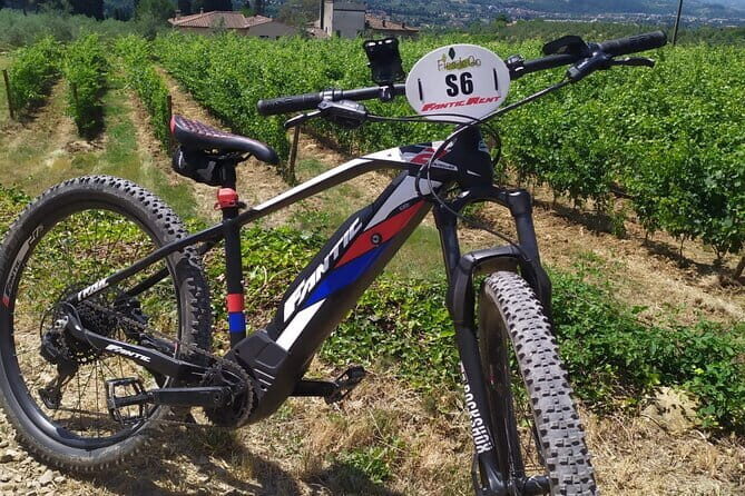 Private Guided Tour by E-Bike and Electric MTB in Fiesole - Key Points