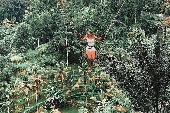 Private Guided Tour: The Best Of Ubud With Jungle Swing - The Value for Your Money