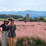 Private Gyeongju Tour - Explore Gyeongju UNESCO Sites - Who Will Love This Tour?