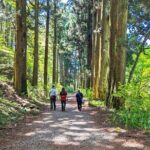Private Hakone Tour - View of Mt. Fuji, Nature and Culture - In-Depth Review of the Hakone Private Tour