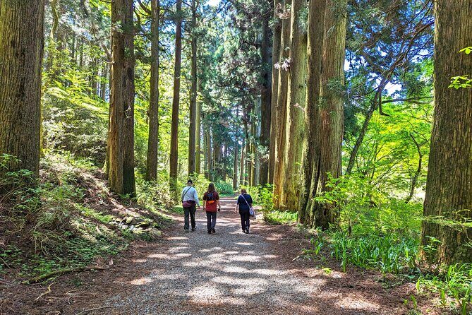 Private Hakone Tour - View of Mt. Fuji, Nature and Culture - In-Depth Review of the Hakone Private Tour