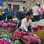 Private Half-Day Delhi Flower Market Tour - Practical Details and Tips