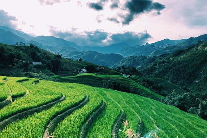 Private Half-Day Tour of Villages, Terrace Rice Fields by Car - Why This Tour Offers Excellent Value