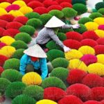 Private Half Day Tour to Quang Phu Cau Incense village from Hanoi - Practical Details and What to Expect