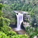 Private Half Day-Tour: Ubud Art Village Trip - Practical Details to Keep in Mind
