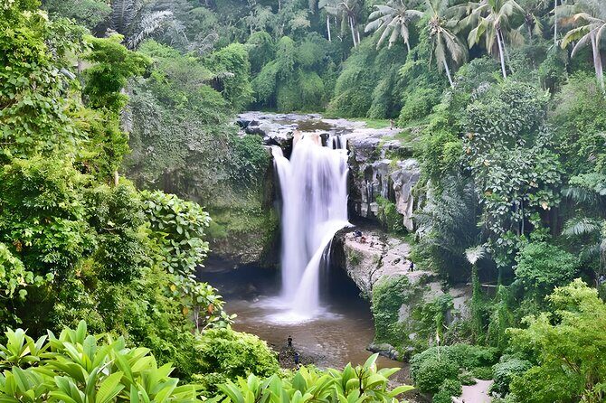 Private Half Day-Tour: Ubud Art Village Trip - Practical Details to Keep in Mind