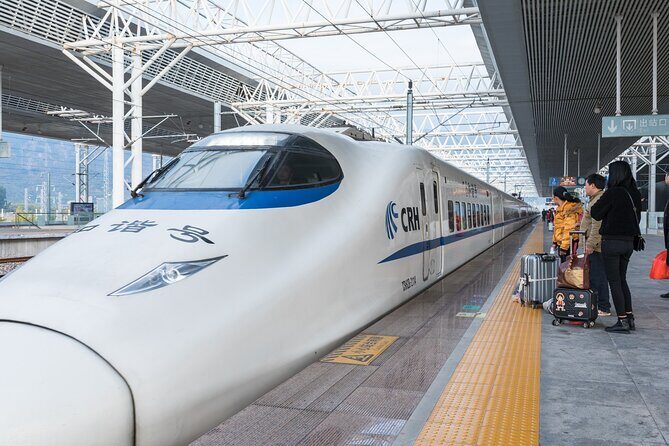 Private High-speed Train Arrival Transfer: Xi'an Bei (North) Station to Hotel - The Experience: What to Expect