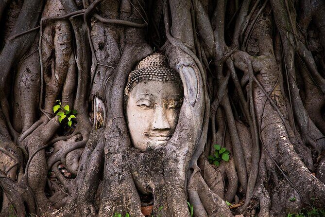 Private Highlights of Bangkok (Top attraction) - Who Should Book This Tour?