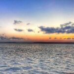 Private Hilton Head Dolphin Tour with Waterfront Dining Stop - Frequently Asked Questions
