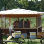 Private Hive Tour - Who Will Love This Tour?