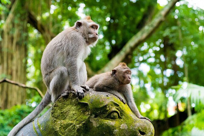 Private Inclusive Tours: 2 Days highlight of Bali - Frequently Asked Questions