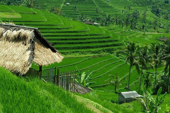 Private Jatiluwih Rice Terraces Heritage Site and Culture Tour - Authenticity and Insider Tips