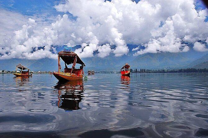 Private Kashmir Family 7-Day Tour - What Makes This Tour Stand Out?