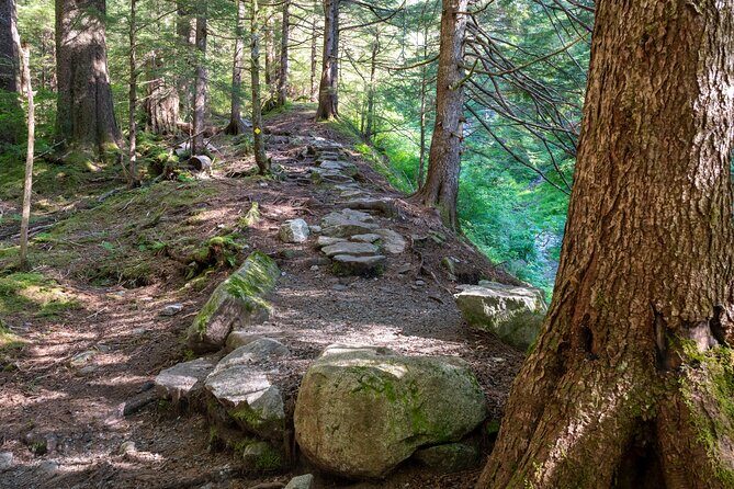 Private Ketchikan Mountain Lake Extended Trek to Alpine Overlook - The Experience from a Reviewers Perspective