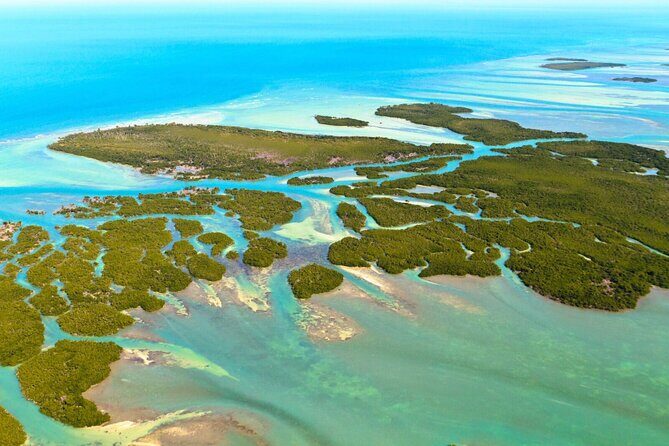 Private Key West National Wildlife Refuge Eco Trip - Why This Tour Offers Good Value