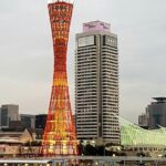 Private Kobe Tour for Families with a Local, 100% Personalized - Who Is This Tour Best Suited For?