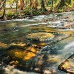 Private Kulen Mountain and Beng Mealea Temple Tour - Practical Considerations and What You Get