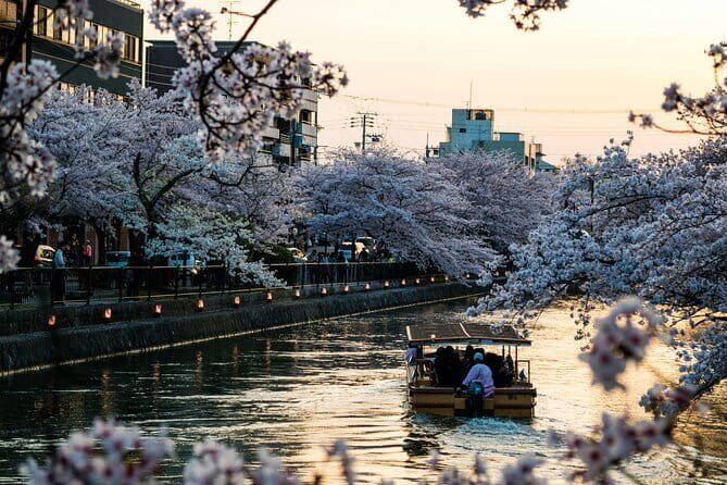 Private Kyoto Customizable Day Tour with English Speaking Driver - Things to Keep in Mind