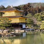 Private Kyoto with Exceptional Guide Tailored to Your Needs - Visiting the Fushimi Inari Shrine
