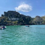 Private Langkawi Mangrove Forest Boat Tour Tg Rhu with Lunch - Who Will Love This Tour?