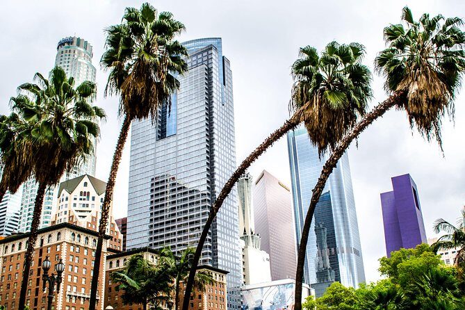 Private Layover Los Angeles Tour with Pickup from LAX - Santa Monica, Venice - Who Will Benefit Most From This Tour?