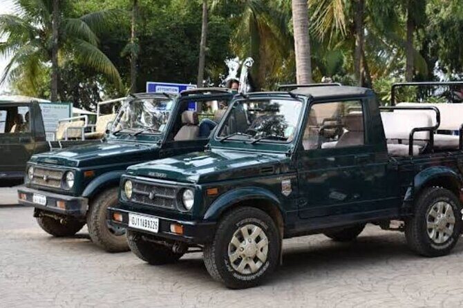 Private Lion Safari in the Gir National Park in Gujarat - Final Thoughts
