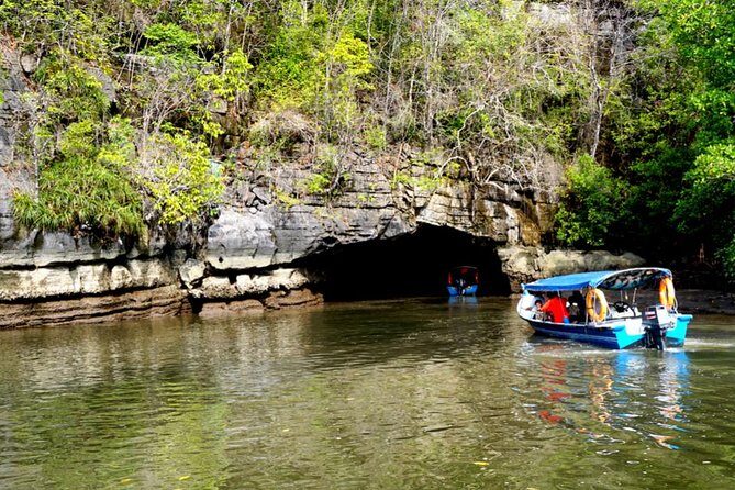 Private Mangrove Tour 2 Hour (max 8 People) - Final Thoughts: Is It Worth It?