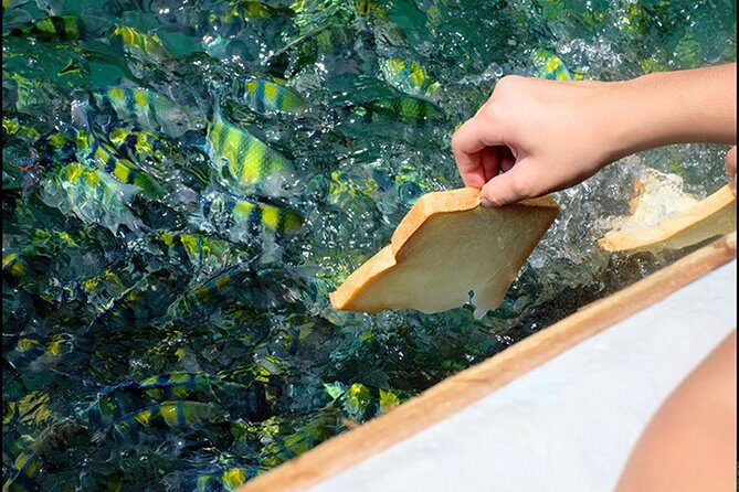Private Mangrove Tour 3 Hour (max 8 People) - The Experience from Reviews