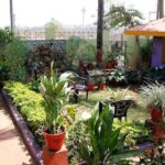 Private Market Visit and Cooking Class in Goa with a Local Family - What to Expect: An Authentic Culinary Journey
