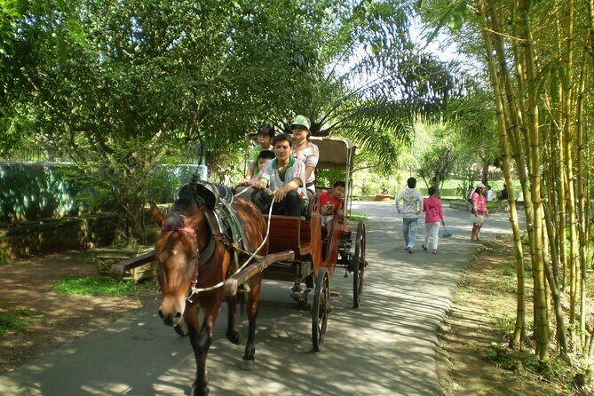 Private Mekong Delta (My Tho - Ben Tre) Full Day by Air-conditioned Car - Who Should Consider This Tour?
