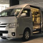 Private Mini-Bus Transfer to Attractions in Singapore - Key Points