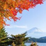 Private Mount Fuji and Hakone City Tour from Tokyo - Authentic Insights from Reviewers