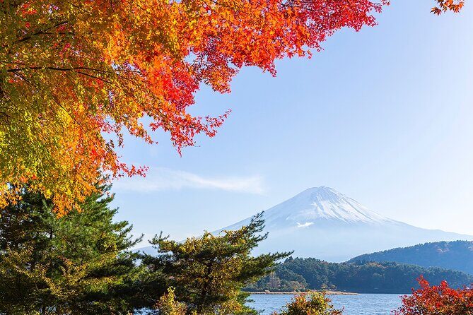 Private Mount Fuji and Hakone City Tour from Tokyo - Authentic Insights from Reviewers