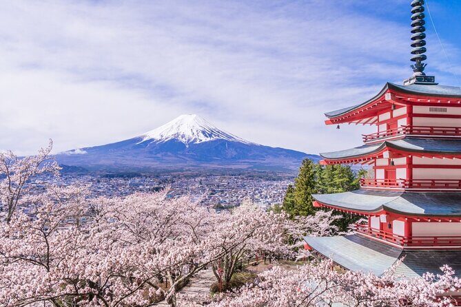 Private Mt. Fuji Custom Tour from Tokyo - Real Experiences and Insights from Travelers