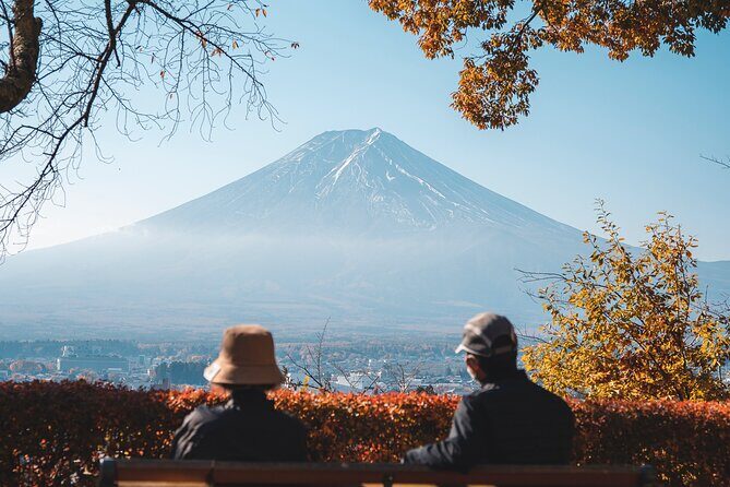 Private Mt Fuji, Hakone and Tokyo Tour - English Speaking Driver - Final Thoughts
